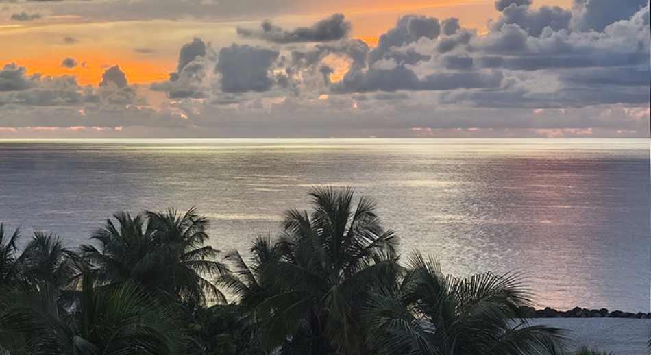 Miami playa