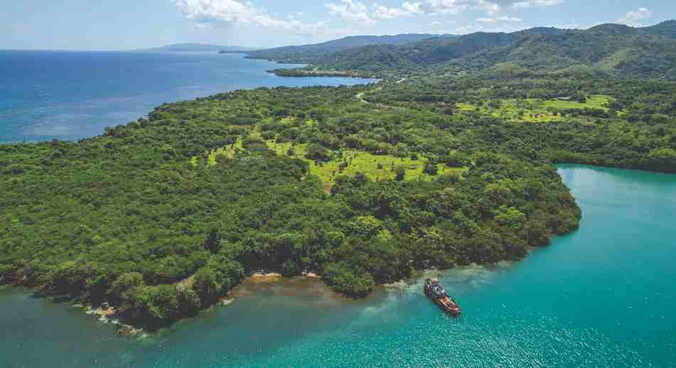 Mosquito Cove Jamaica