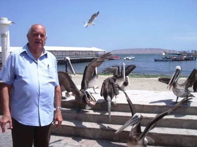 peru en paracas rodeado de pelicanos