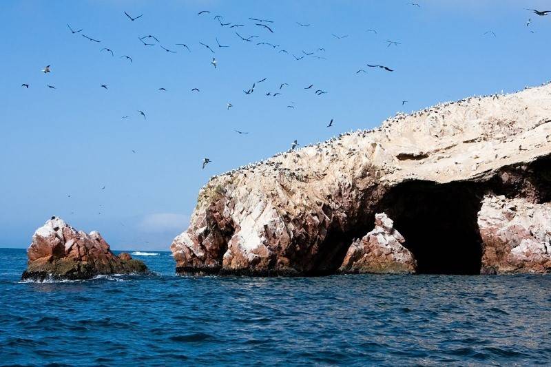 peru estampa de las islas ballestas