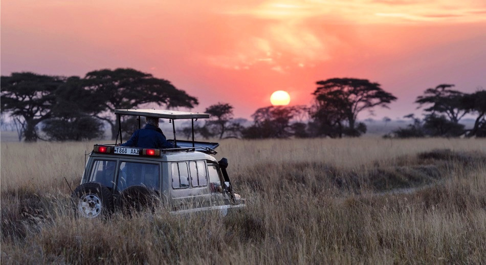 Tanzania: ¿Nuestro próximo destino?