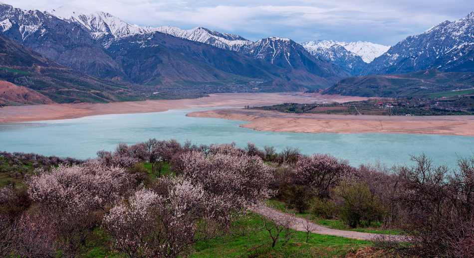 Naturaleza en Tashkent