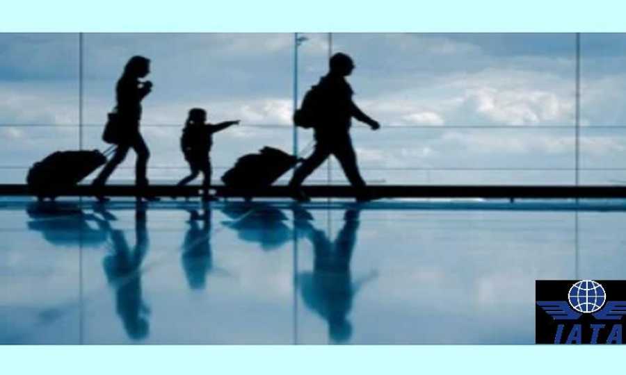 La  IATA  y el  Manual de  buenas  prácticas  para las familias