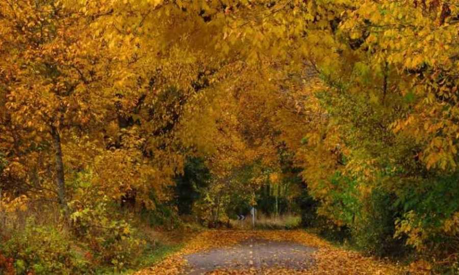 León, entre el rojo del otoño y el brillo de la Navidad