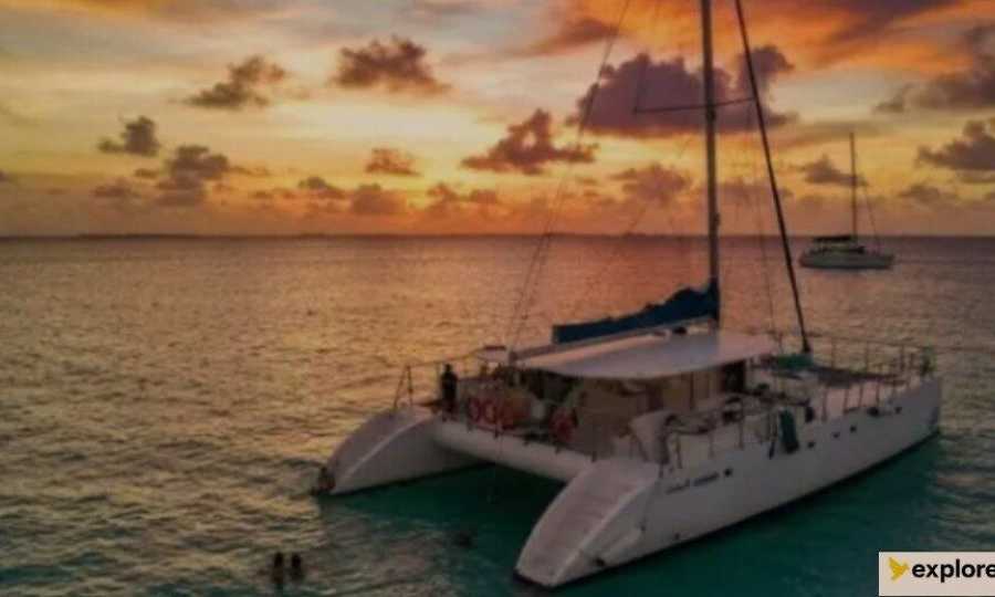 Un análisis de 73 tours y actividades en Isla Mujeres sitúa el precio mediano en 82 dólares por persona