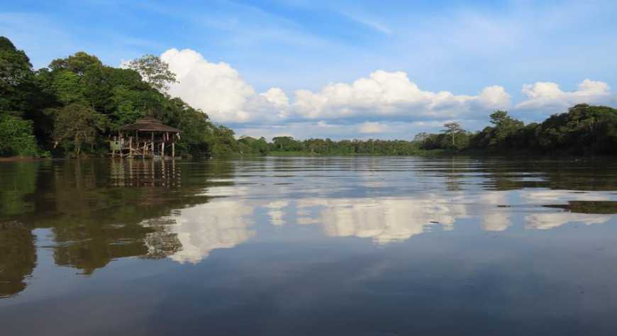 Sabah o el Cuento Inédito de los Susurros de la Naturaleza en Malasia