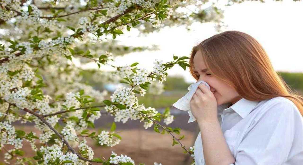  Alergia primaveral: cómo combatirla con la alimentación