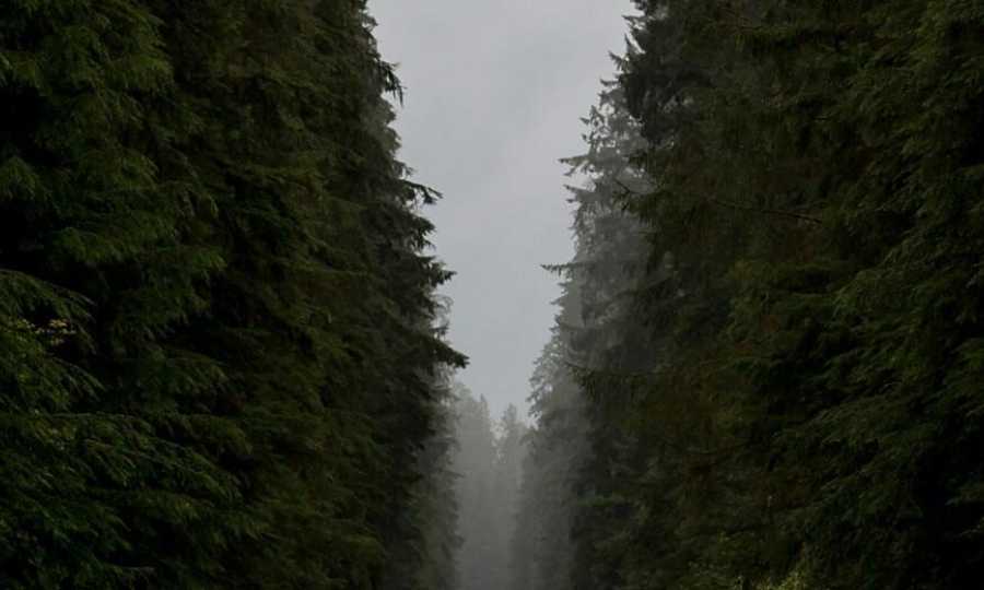 Los destinos invisibles: viajar donde nadie quiere que vayas