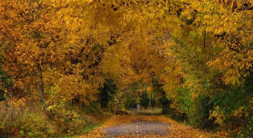 León, entre el rojo del otoño y el brillo de la Navidad