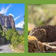 Que importante son quienes hacen un turismo pensando en la naturaleza.