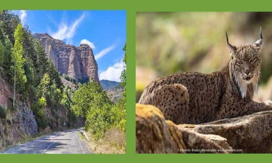 Que importante son quienes hacen un turismo pensando en la naturaleza.