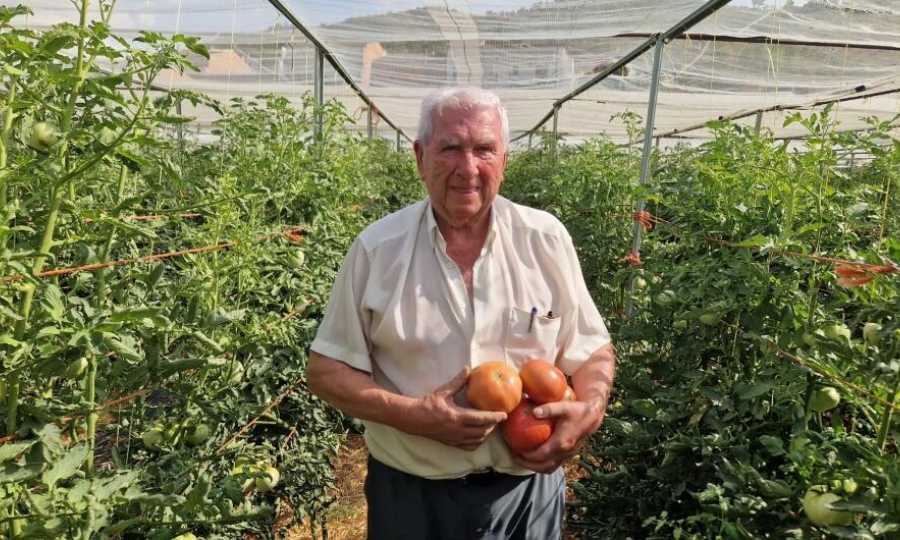 El   bombón de  Artesa: cómo convertir un tomate en el mejor del mundo