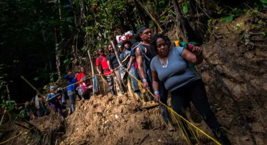 Darién: el infierno y la  naturaleza  virgen  que pocos  se atreven a visitar