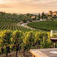 Rutas de los Vinos Franceses: Guía Completa para los Amantes Españoles