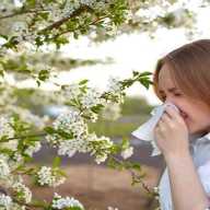  Alergia primaveral: cómo combatirla con la alimentación