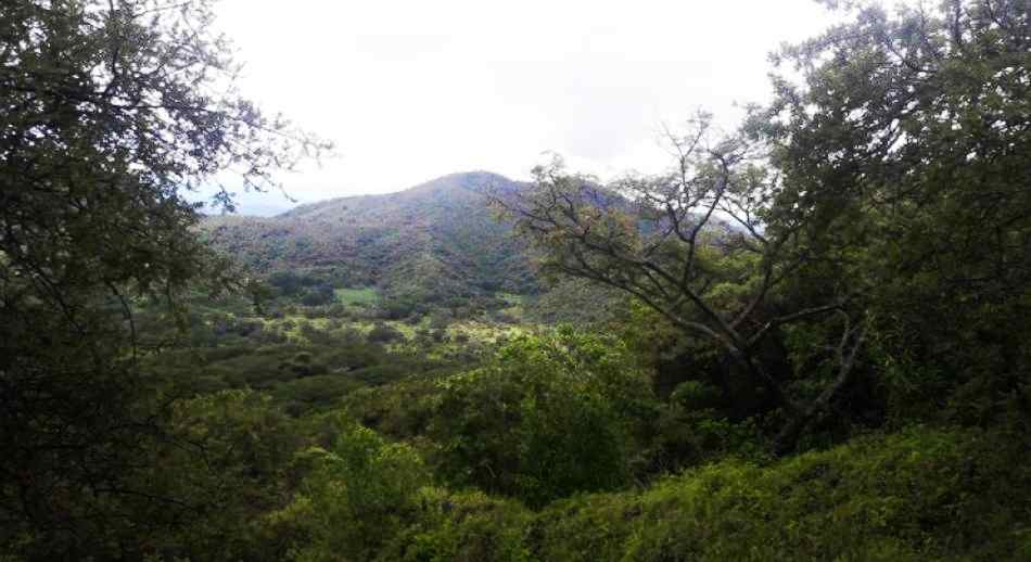 volcan el Jorullo México 2